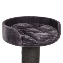 Canadian Cat Company Kratzbaum Carleton Anthrazit -Katzenartikel efbdf37204e912ab023ff794d5269e8b2c8d80b8 1378658 de DE f9a0f6f920248eb809a13e4798eebcf60579d262lGMA3V