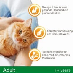 IAMS Vitality Adult Huhn 3 Kg 11 IAMS Vitality Adult Huhn 3 Kg -Katzenartikel f239d7ef57a6054553948e62d3d5feb16002578a 8361bd6d370c2f798bd71fa3242ca269884546de