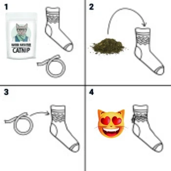 Kater Kasimir Premium Katzenminze, 60g Vorratspack (getrocknet, Geschnitten Und Gesiebt) 4 Kater Kasimir Premium Katzenminze, 60g Vorratspack (getrocknet, Geschnitten Und Gesiebt) – Bild 2