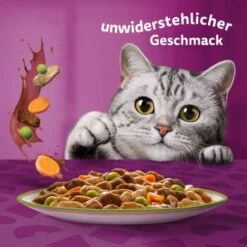 Whiskas Tasty Mix Multipack Chef's Choice In Sauce 40 X 85g -Katzenartikel f6e2ae102927feafb9e342708a0412557690953c 1410720 de DE Whiskas 6