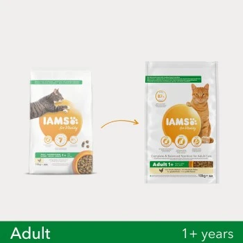 IAMS Vitality Adult Huhn 3 Kg 5 IAMS Vitality Adult Huhn 3 Kg – Bild 3