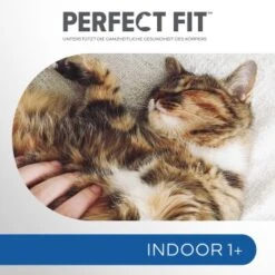 PERFECT FIT Beutel Indoor 1+ Huhn 5x1,4 Kg 14 PERFECT FIT Beutel Indoor 1+ Huhn 5x1,4 Kg -Katzenartikel f89e95b65e2c59af18736d04672e37eab3ee6322 1002911003 4