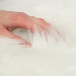 Canadian Cat Company Filzlounge AVA Beige M -Katzenartikel fd8b746ad0dc996bb62efc39f6c670f6be8df30e 1360999 de DE c86a4e6d9ceba2c1e55f3f753eeda095c89215723XoDPL