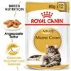 ROYAL CANIN Maine Coon 12x85g 2 ROYAL CANIN Maine Coon 12x85g -Katzenartikel fdf483eeb3c41dc63a8fcf7d7e671baf4a99c8e4 fd4fefbbf482602021294d203fb1cc87789b8086