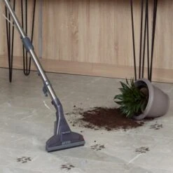 THOMAS Boxer -Katzenartikel fe5b6c6c7443e47d820e4e2f07f6ebfc818626b8 1406732 de DE 9a816e68b26295ee7c74b4d90c1b39fcc4c5a7cankj8IW